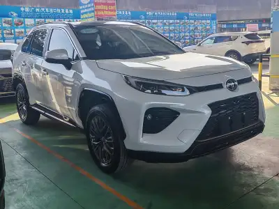 Toyota Wildlander 2.0L CVT两驱豪华PLUS版 thumbnail 1
